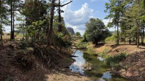Eine authentische Landschaftsaufnahme aus Laos. Im Vordergrund fließt ein schmaler, flacher Fluss durch ein naturbelassenes Bett mit steilen Erdufern, freiliegenden Baumwurzeln und umgestürzten Ästen. Beide Ufer sind von grünen Bäumen gesäumt. Im Hintergrund führt eine Brücke über den Fluss, hinter der sich ein markanter, steiler Karstberg unter einem blauen Himmel mit weißen Schönwetterwolken erhebt.